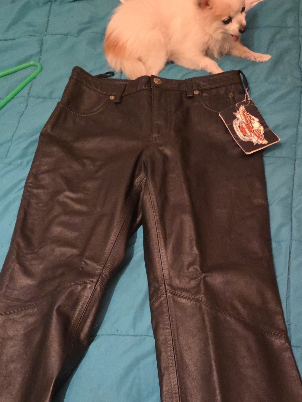 Harley-Davidson Black Leather Boot-Cut Riding Pants